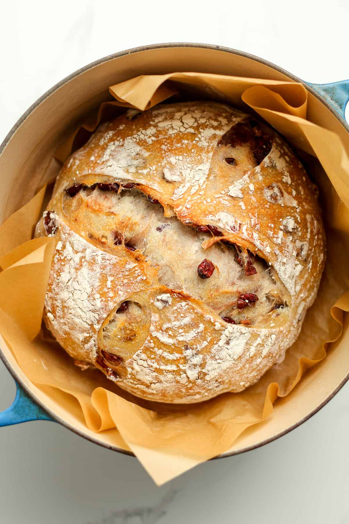 Cranberry Walnut Sourdough Bread
