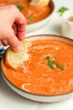 Creamy Tomato Bisque - SueBee Homemaker