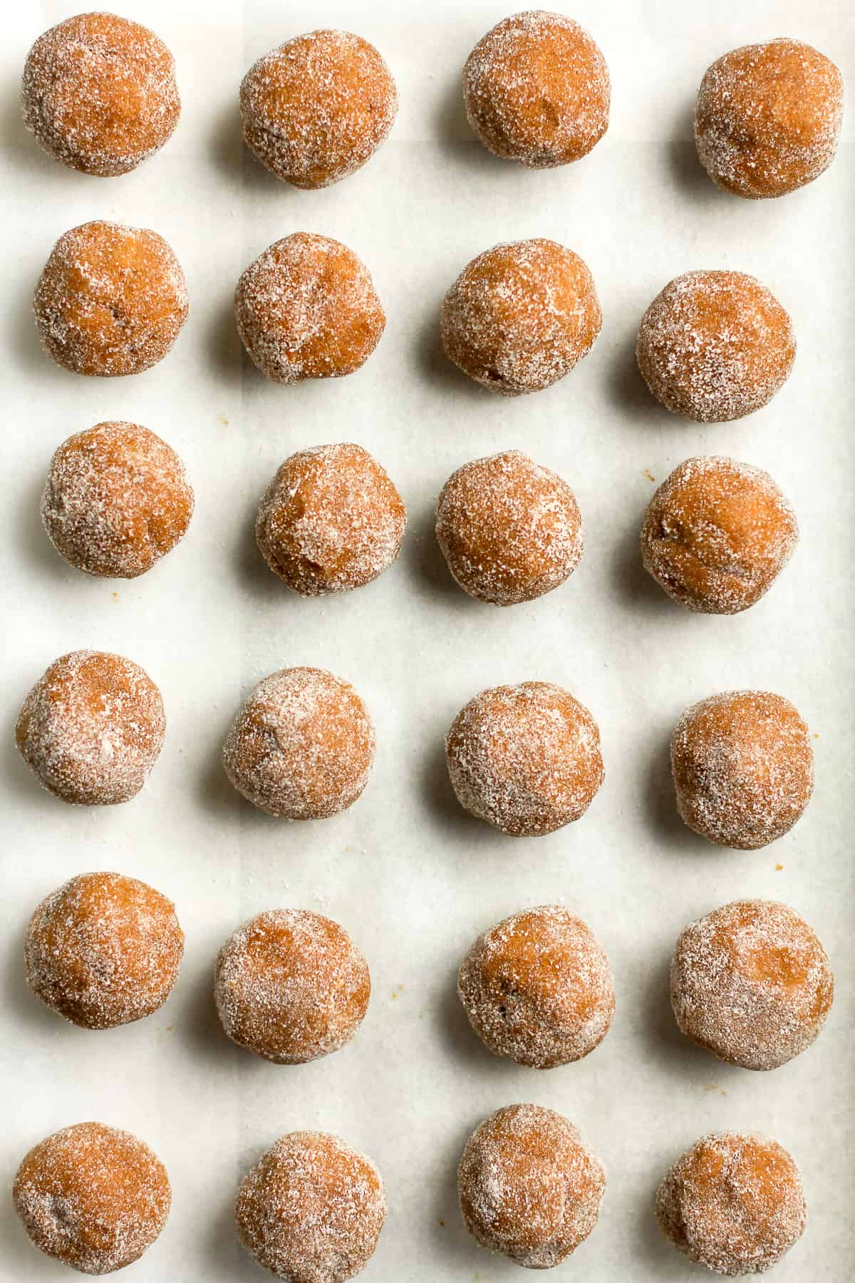 24 gingersnap cookie balls with granulated sugar.