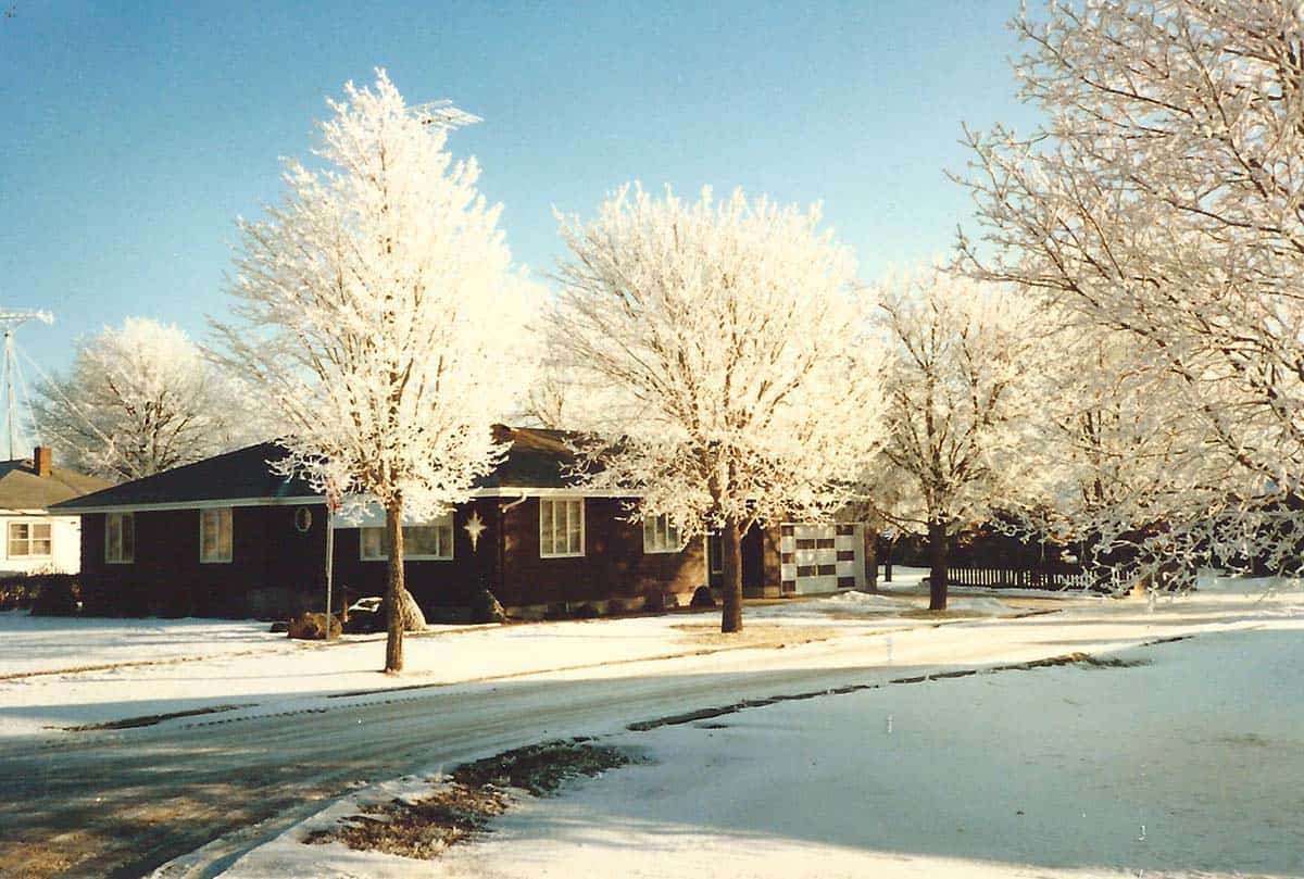 House in St. Joe with icy trees.