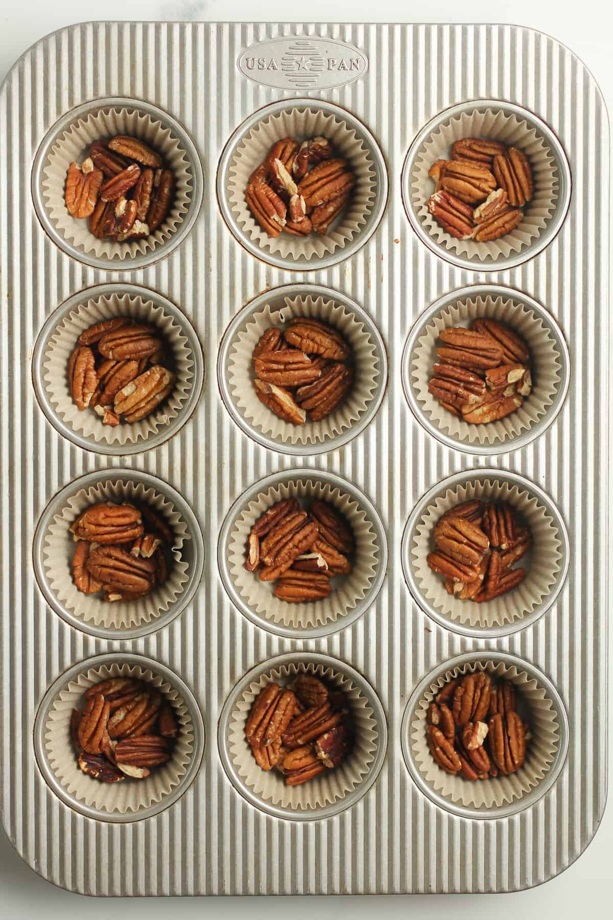 A 12-cup muffin pan with pecans on the bottom.