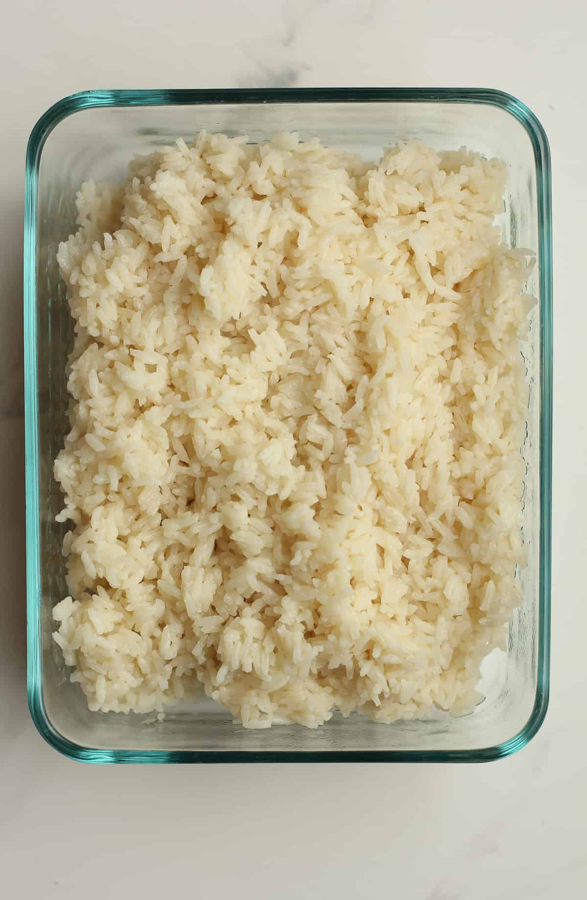 A dish of cooked white rice.