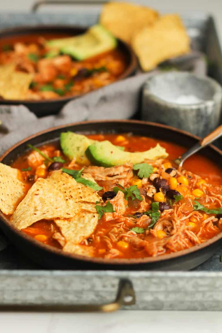 Chicken Tortilla Soup with Enchilada Sauce - SueBee Homemaker