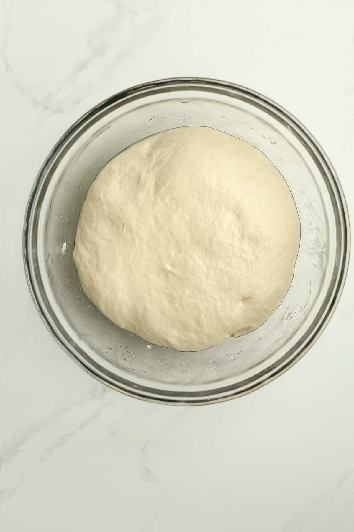 A bowl of the dough before rising.
