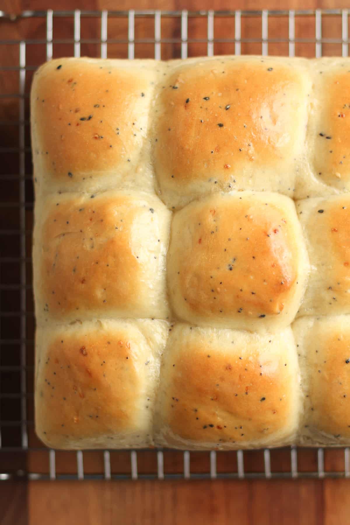 Closeup shot of a square section of everything bagel dinner rolls.