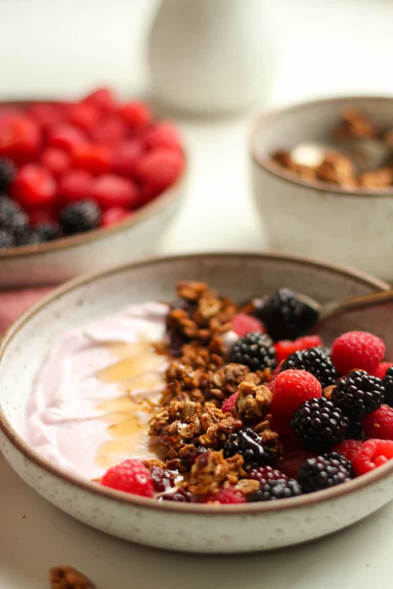 Yogurt with Granola - Two Ways! - SueBee Homemaker