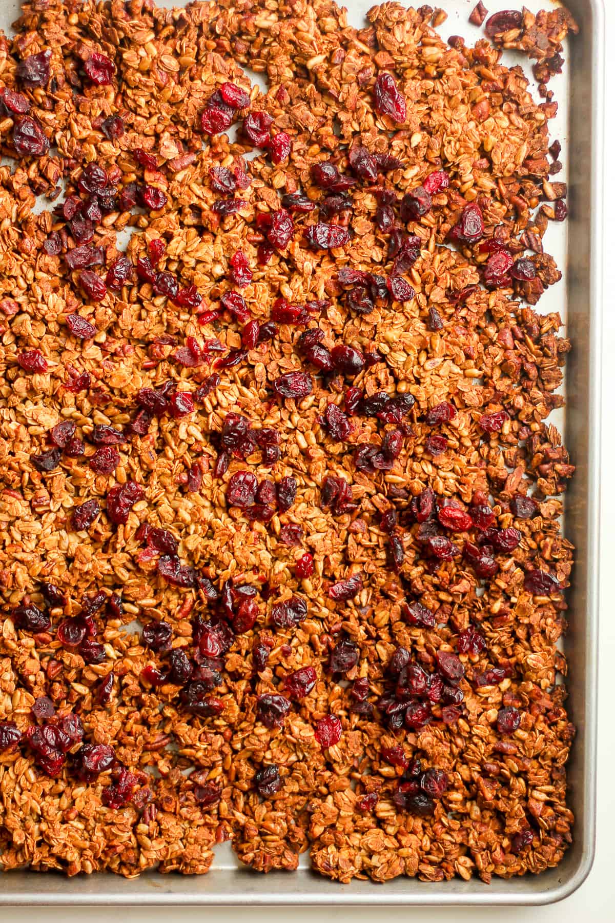 A baking sheet with the granola with raisins before breaking it up.