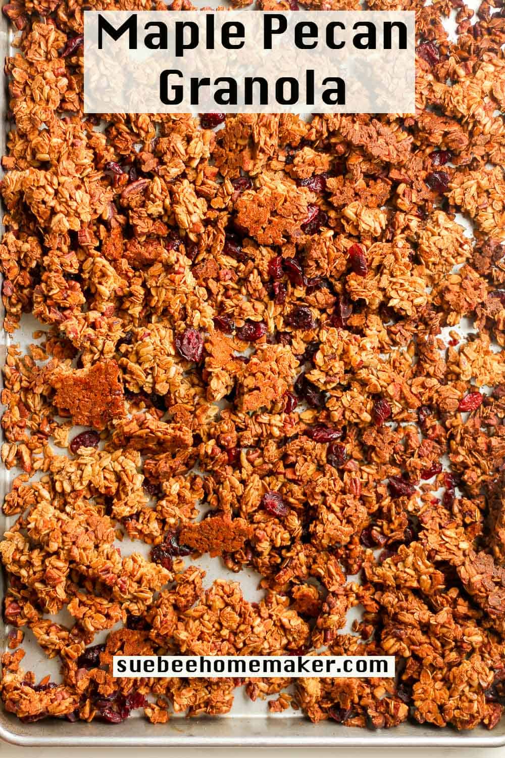 A large sheet pan of baked granola with dried cranberries.