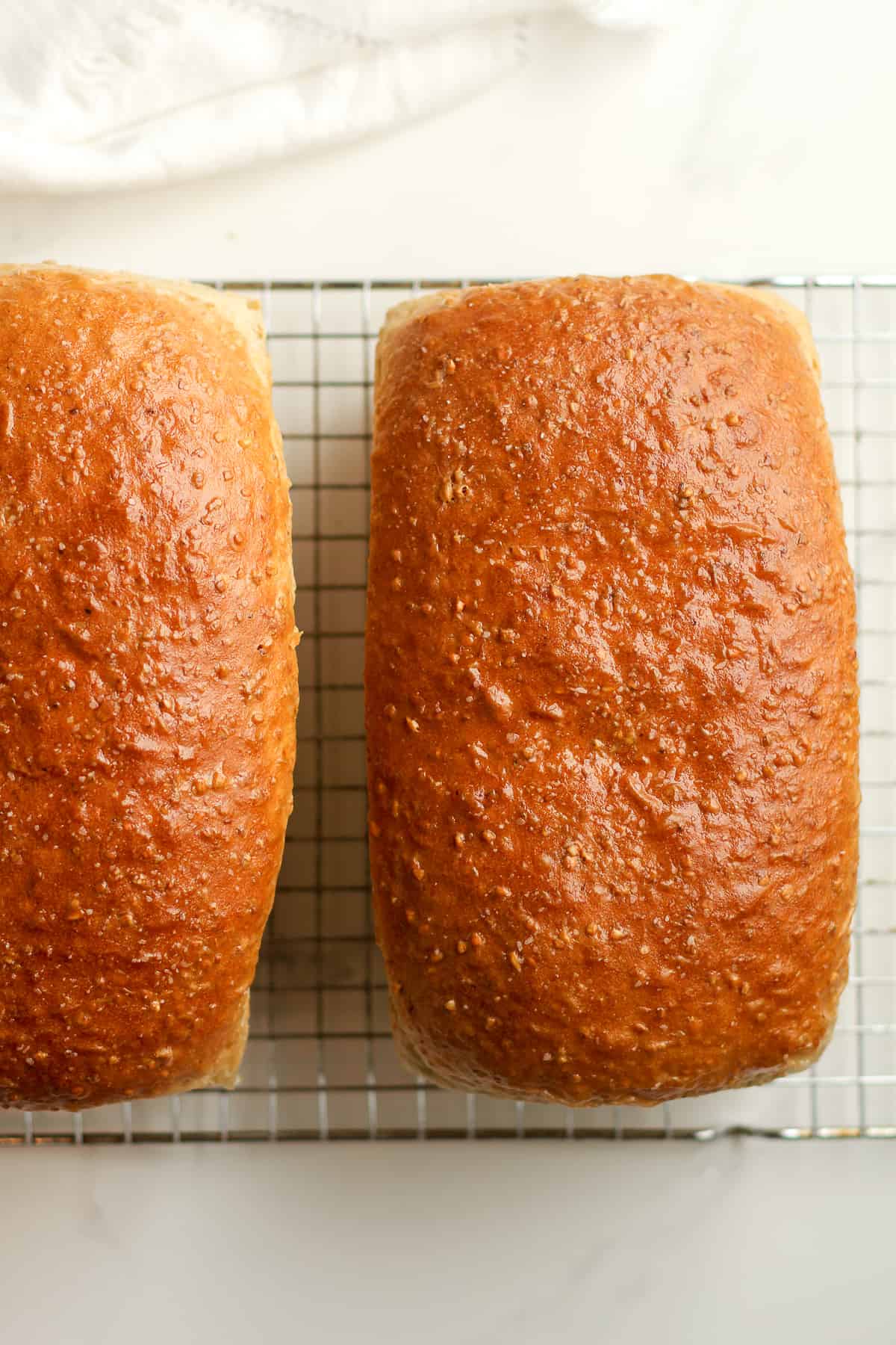 Overhead shot of two loaves of cracked wheat bread.