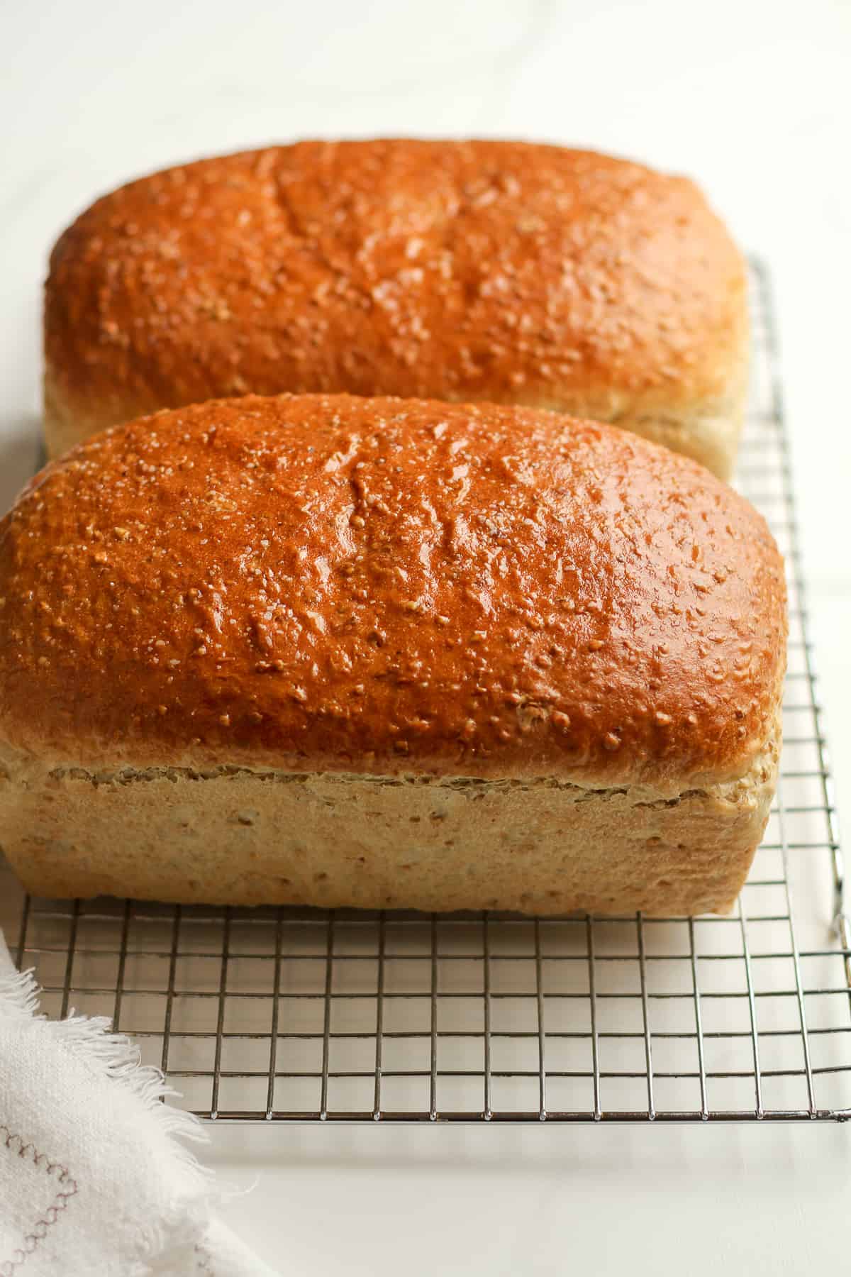 Side view of two loaves of bread.