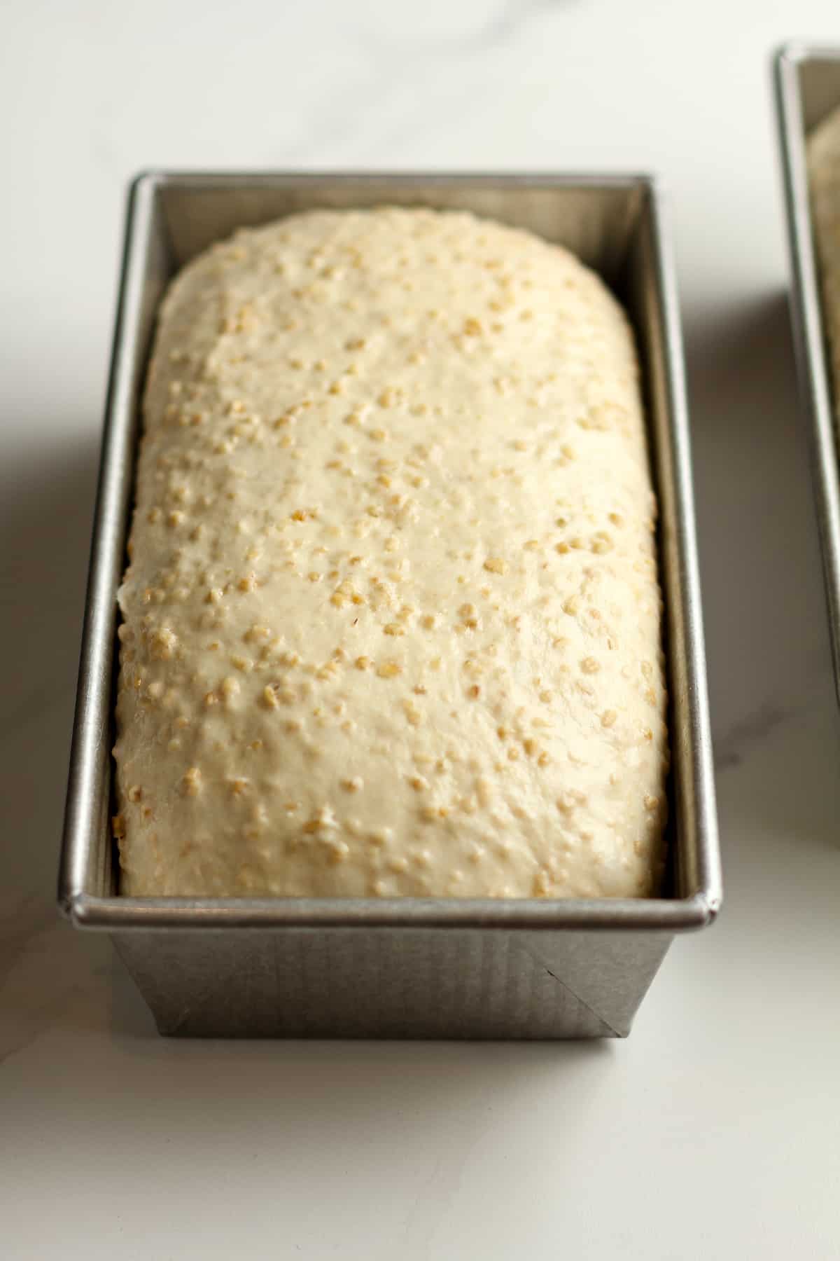 Side view of two loaves of dough ready to bake.