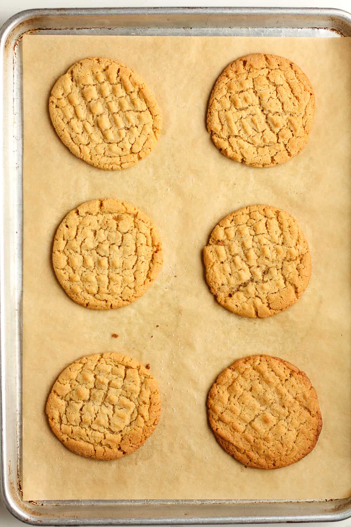 A baking sheet of just baked peanut butter cookies.