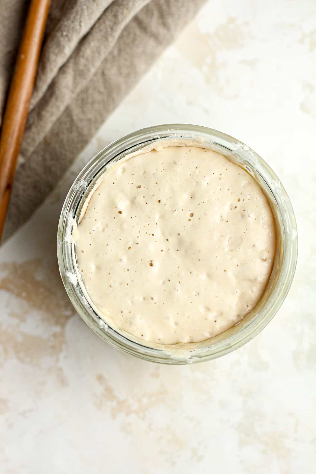 A jar of bubbly starter.