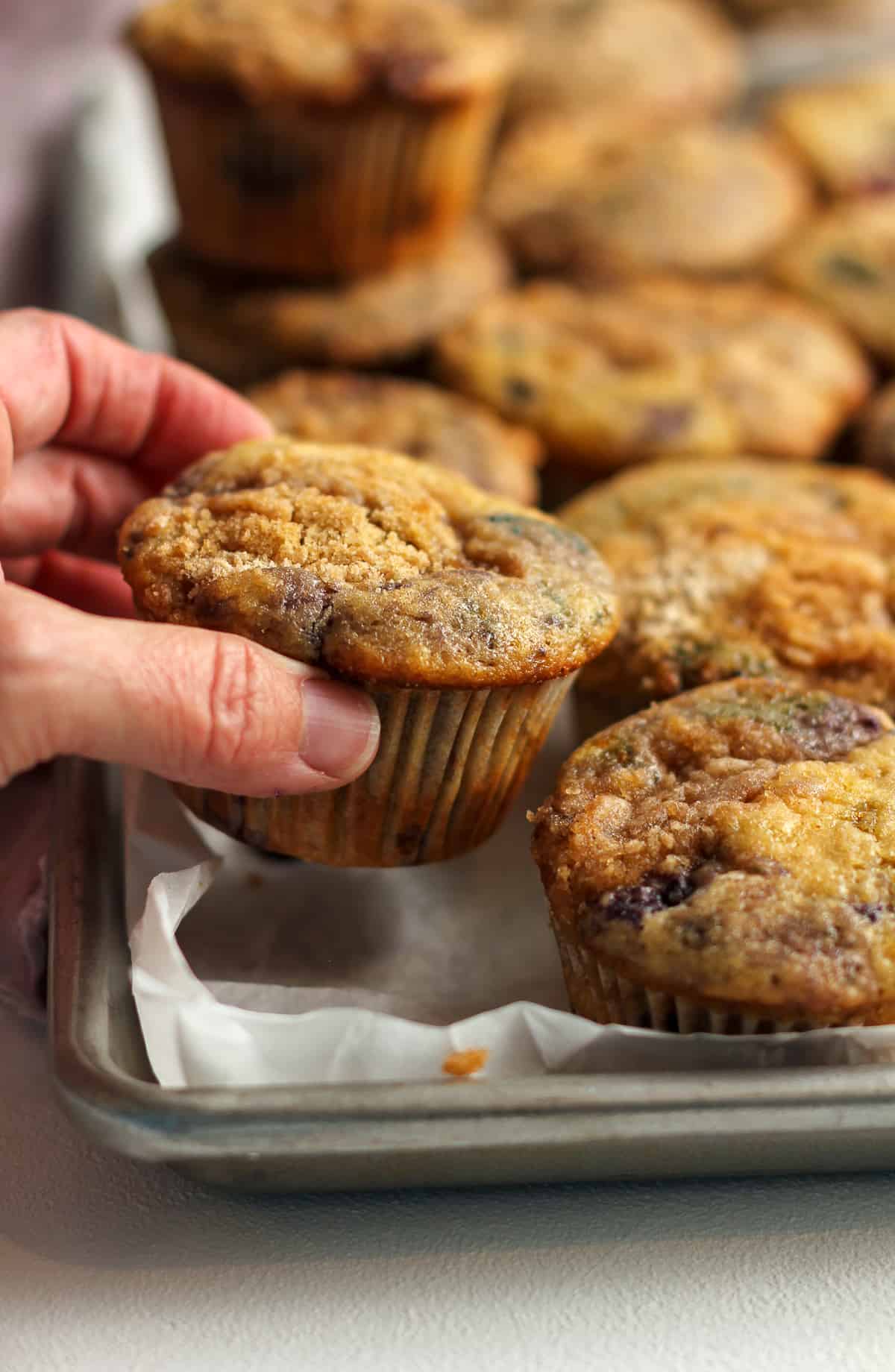 A hand reaching for a muffin on a pan of lemon blueberry muffins.