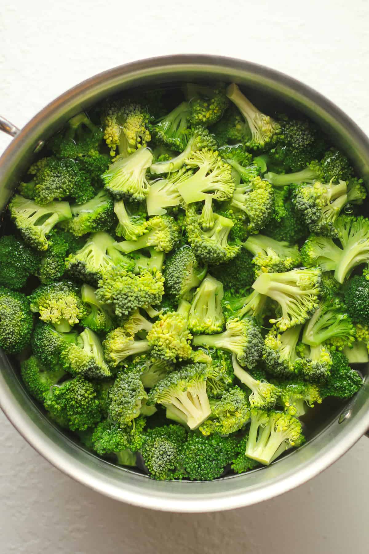 A stockpot of the pasta and broccoli in water.