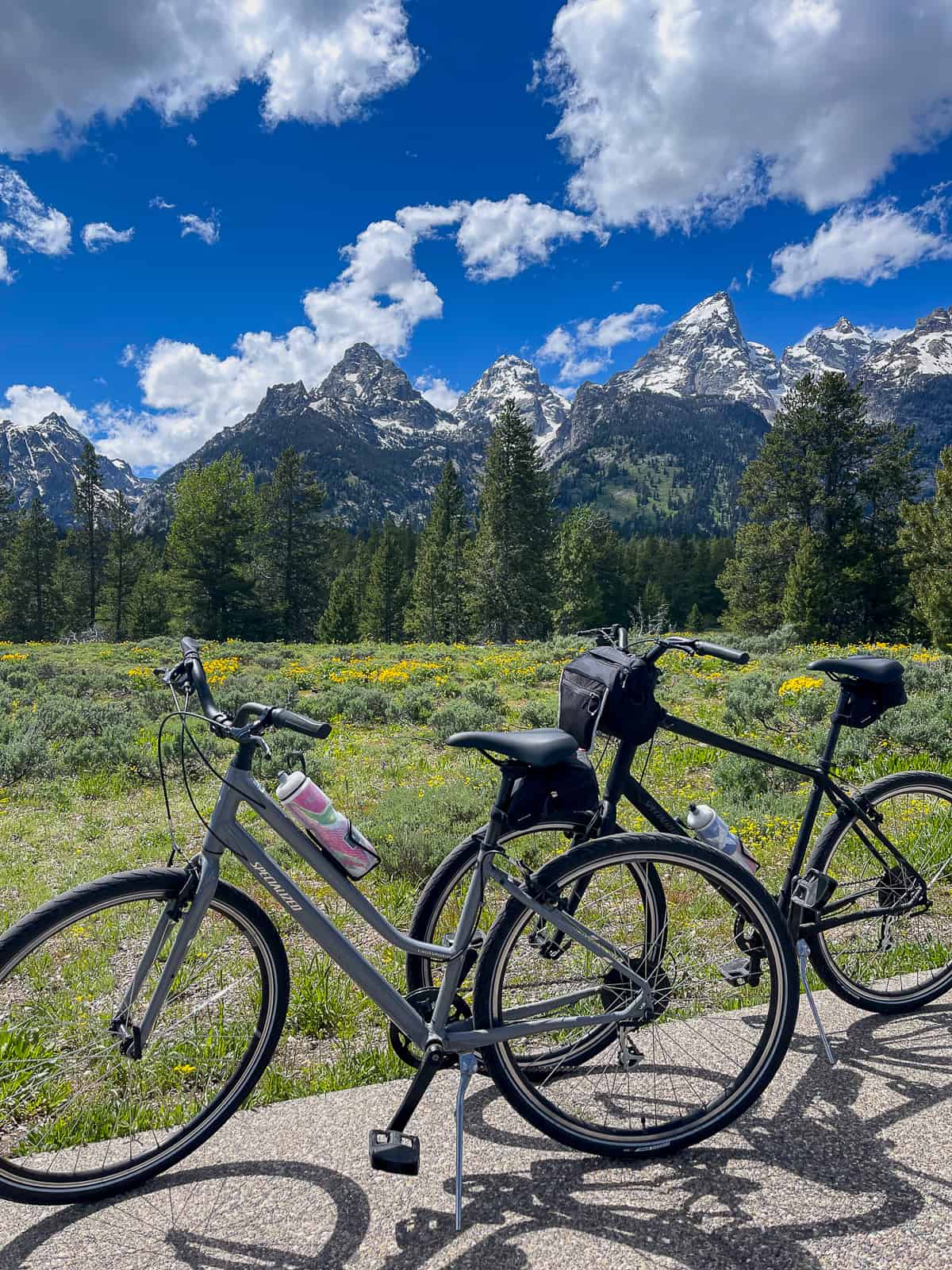 Our bikes with mountains in the background.