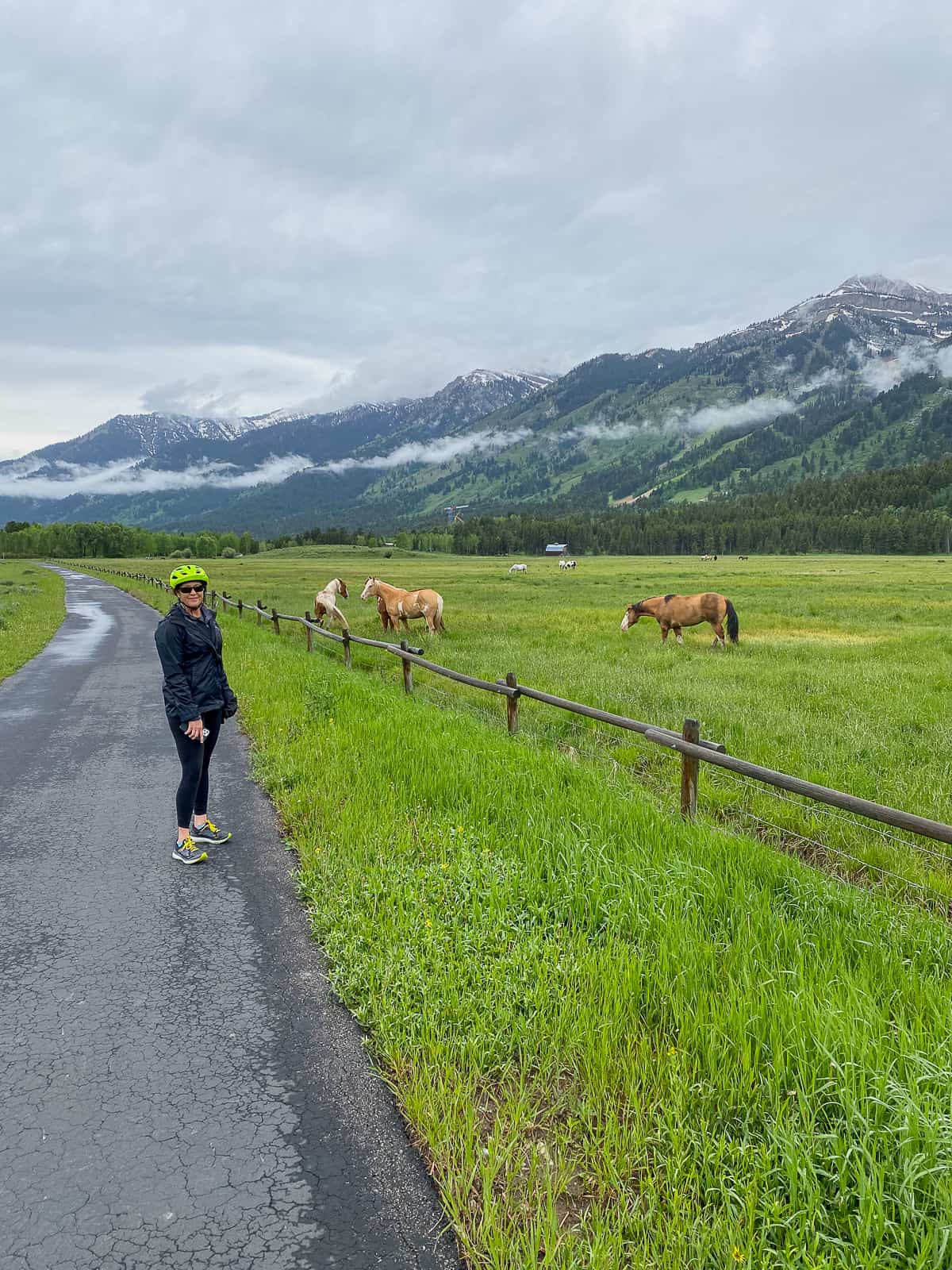 Me by the horses alongside the mountains.