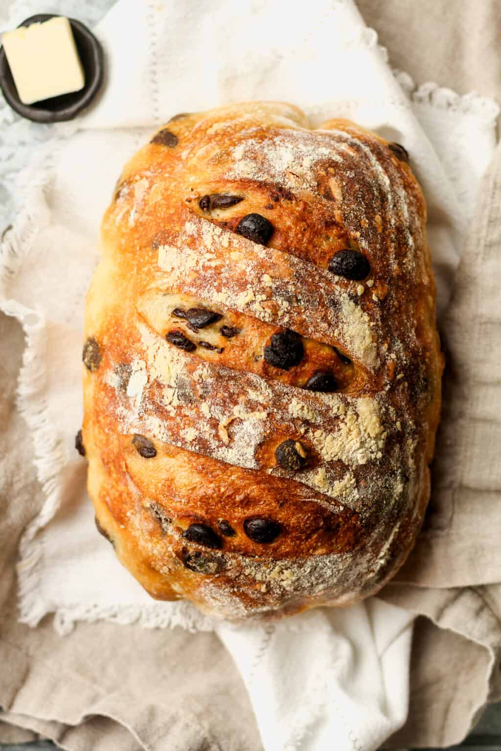 Chocolate Sourdough Bread - SueBee Homemaker