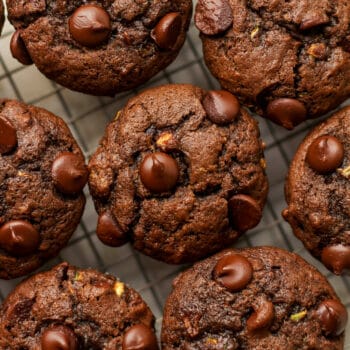 A closeup on some chocolate zucchini muffins with chocolate chips on top.
