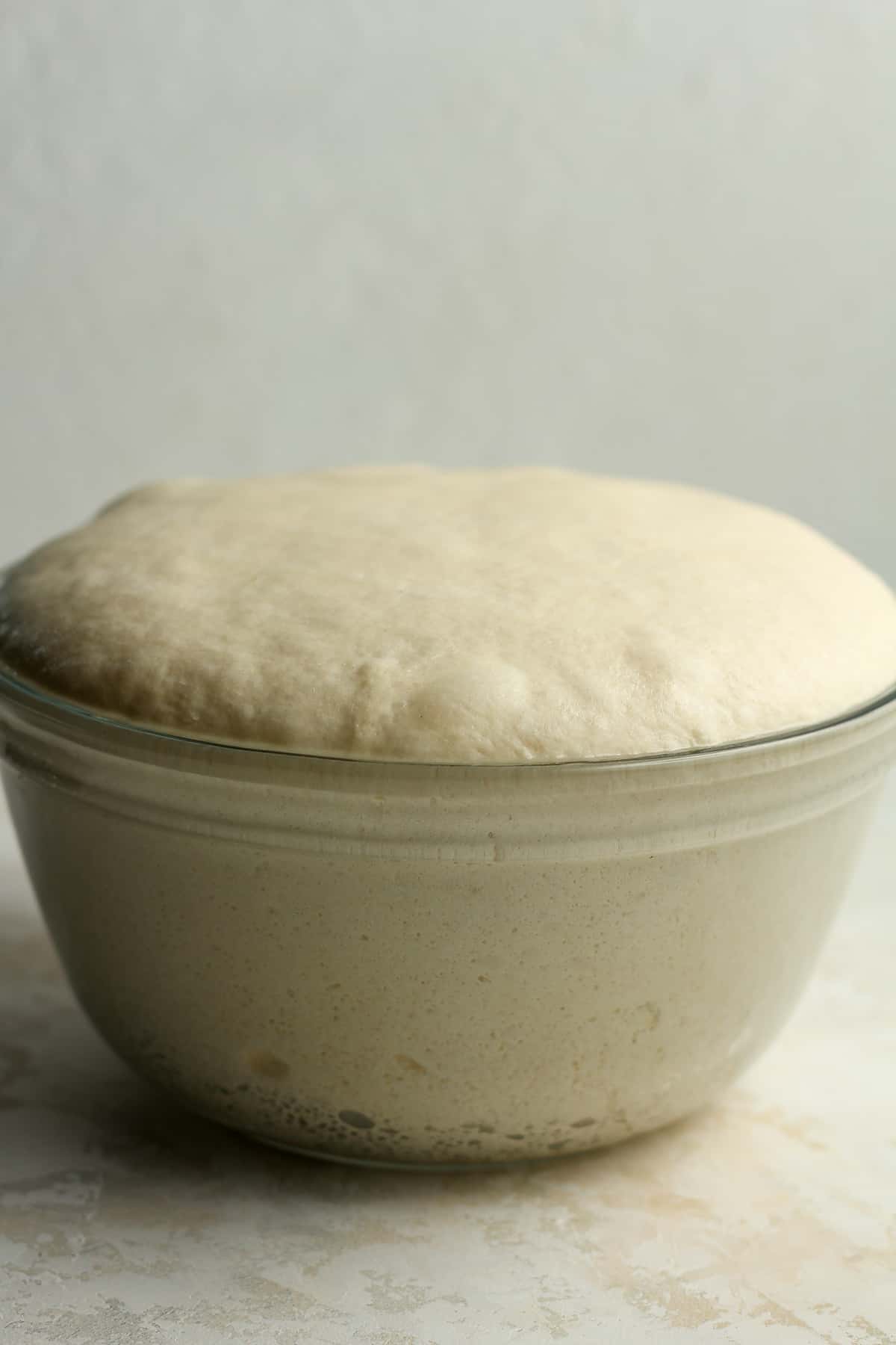 Side view of a bowl of pizza dough rising above the bowl.