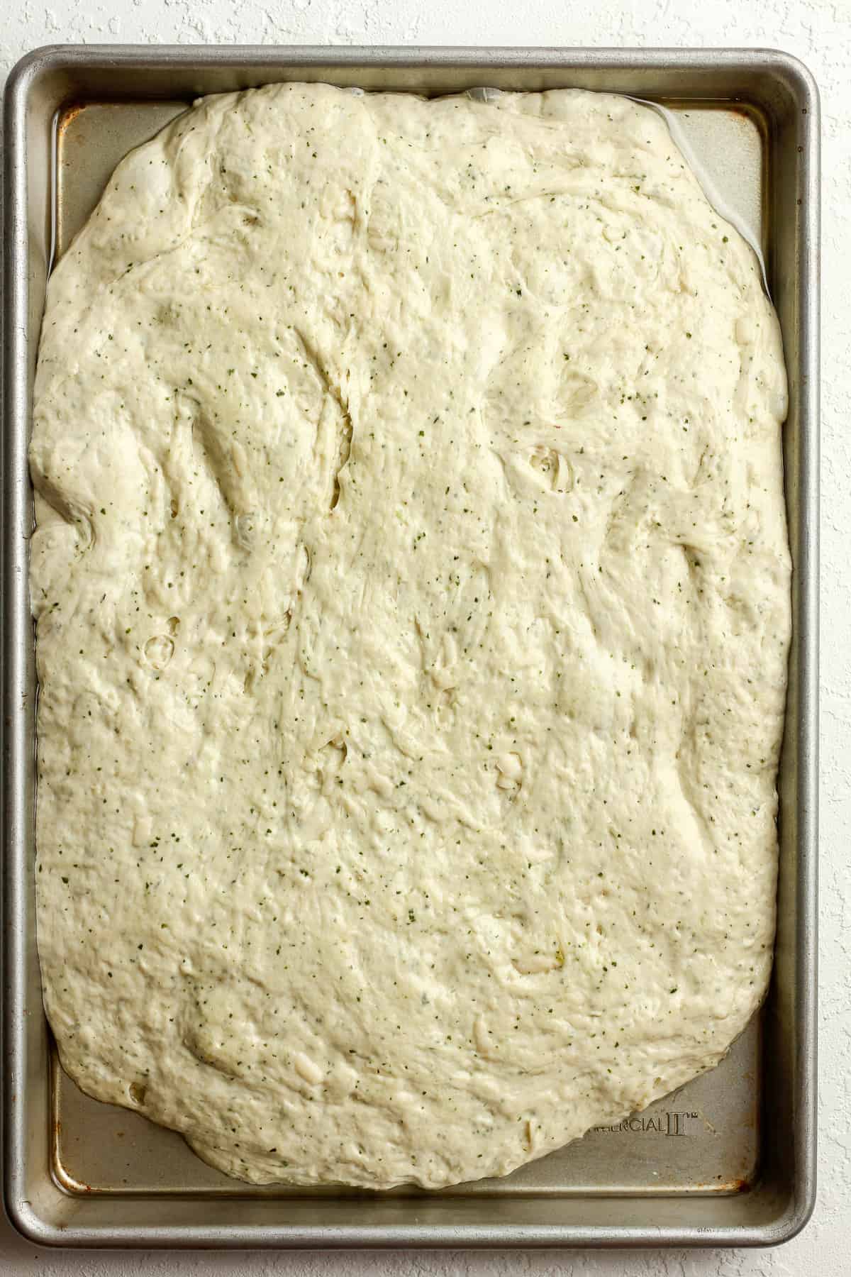 A pan of sourdough spread out in a pan.