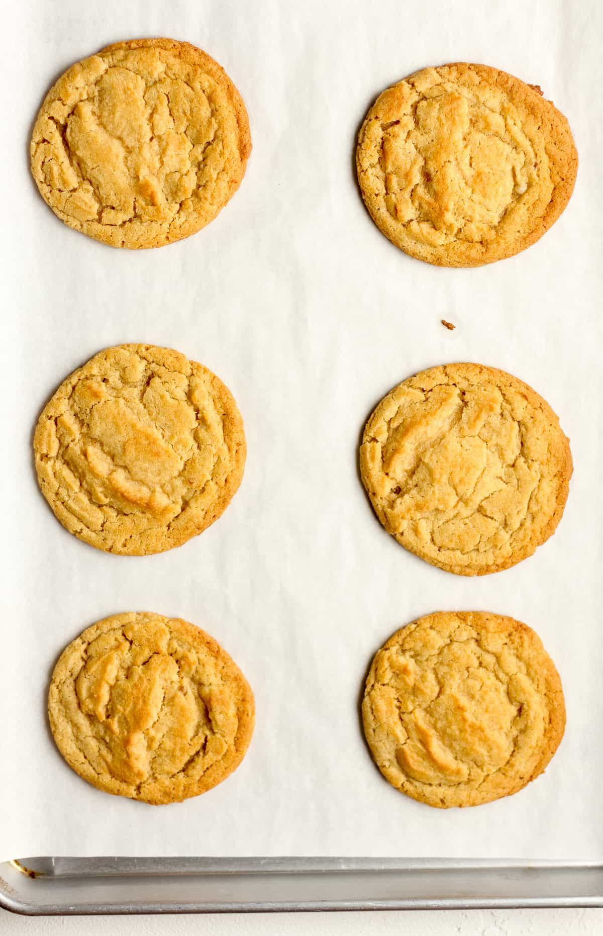 Six just baked sugar cookies on a sheet pan.