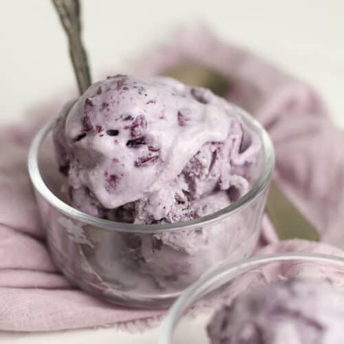 https://suebeehomemaker.com/wp-content/uploads/2022/08/blueberry-ice-cream-recipe-card-2-500x500.jpg
