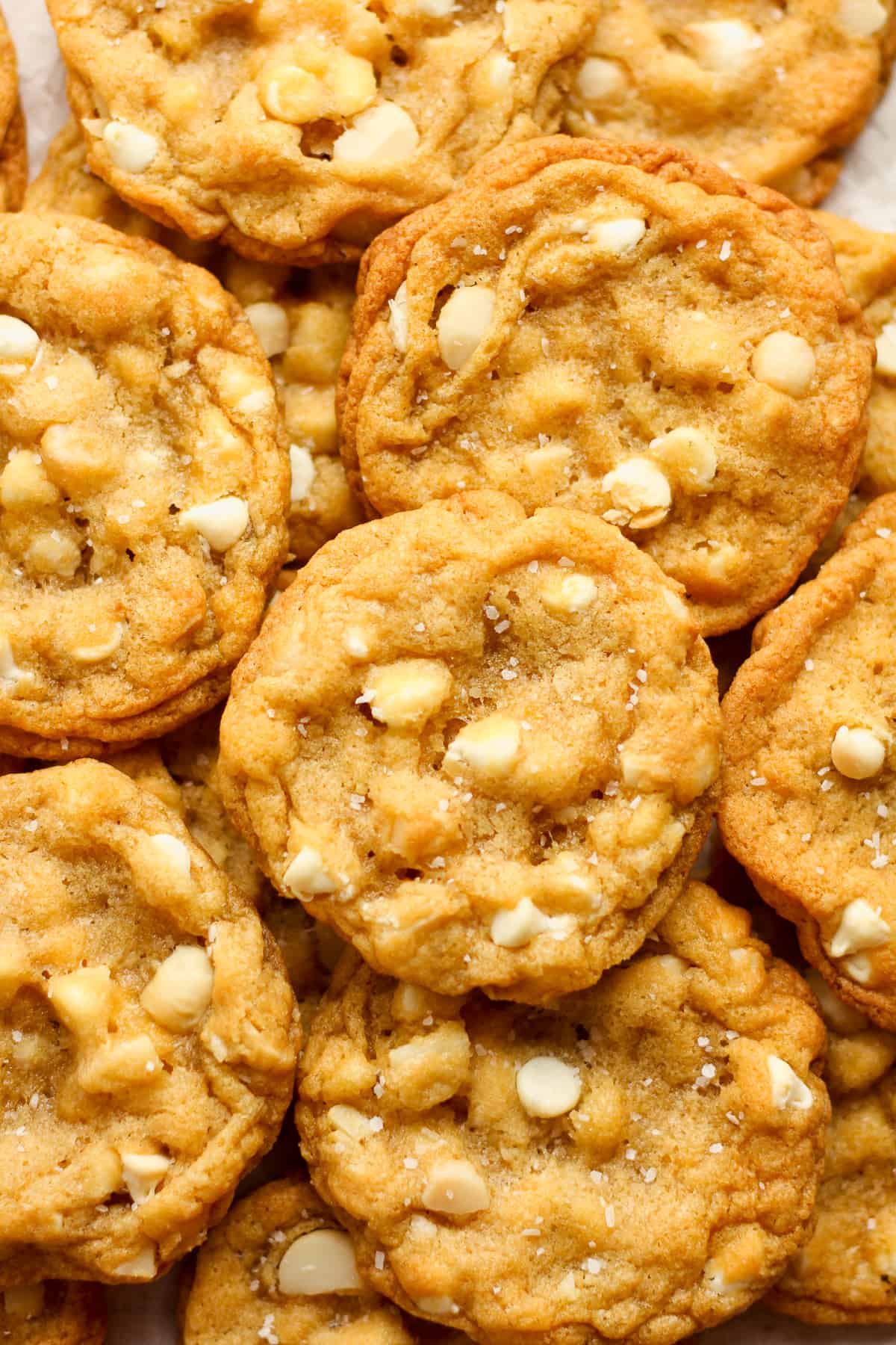 A stack of white chocolate macadamia nut cookies.