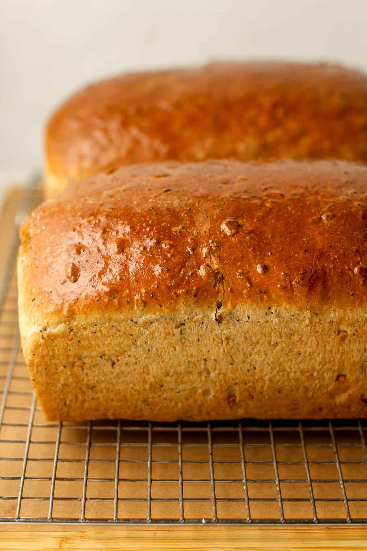 Side closeup view of loaves of multigrain bread.