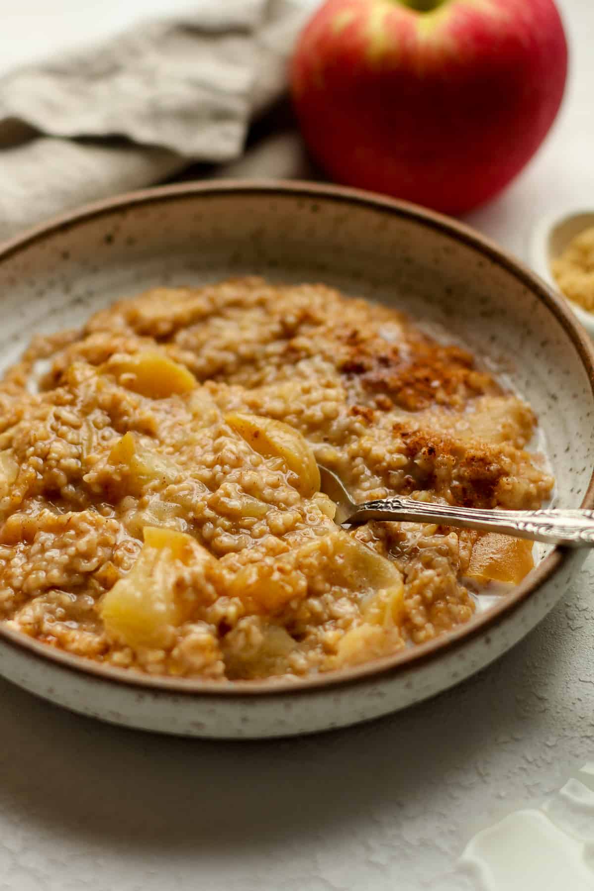 Side view of a bowl of steak cut oats with apples.