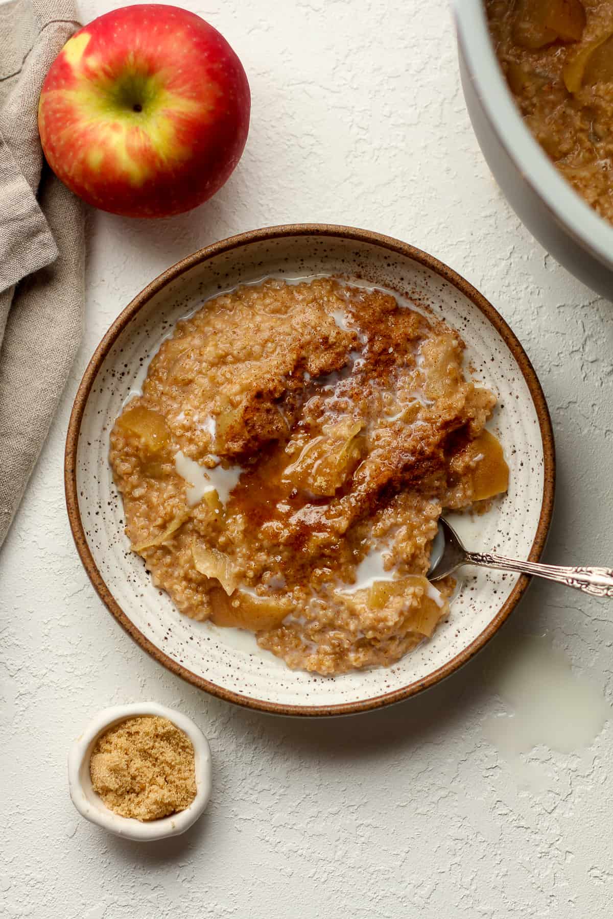 Overhead view of a bowl of steel cut oats with cinnamon, next to an instant pot.