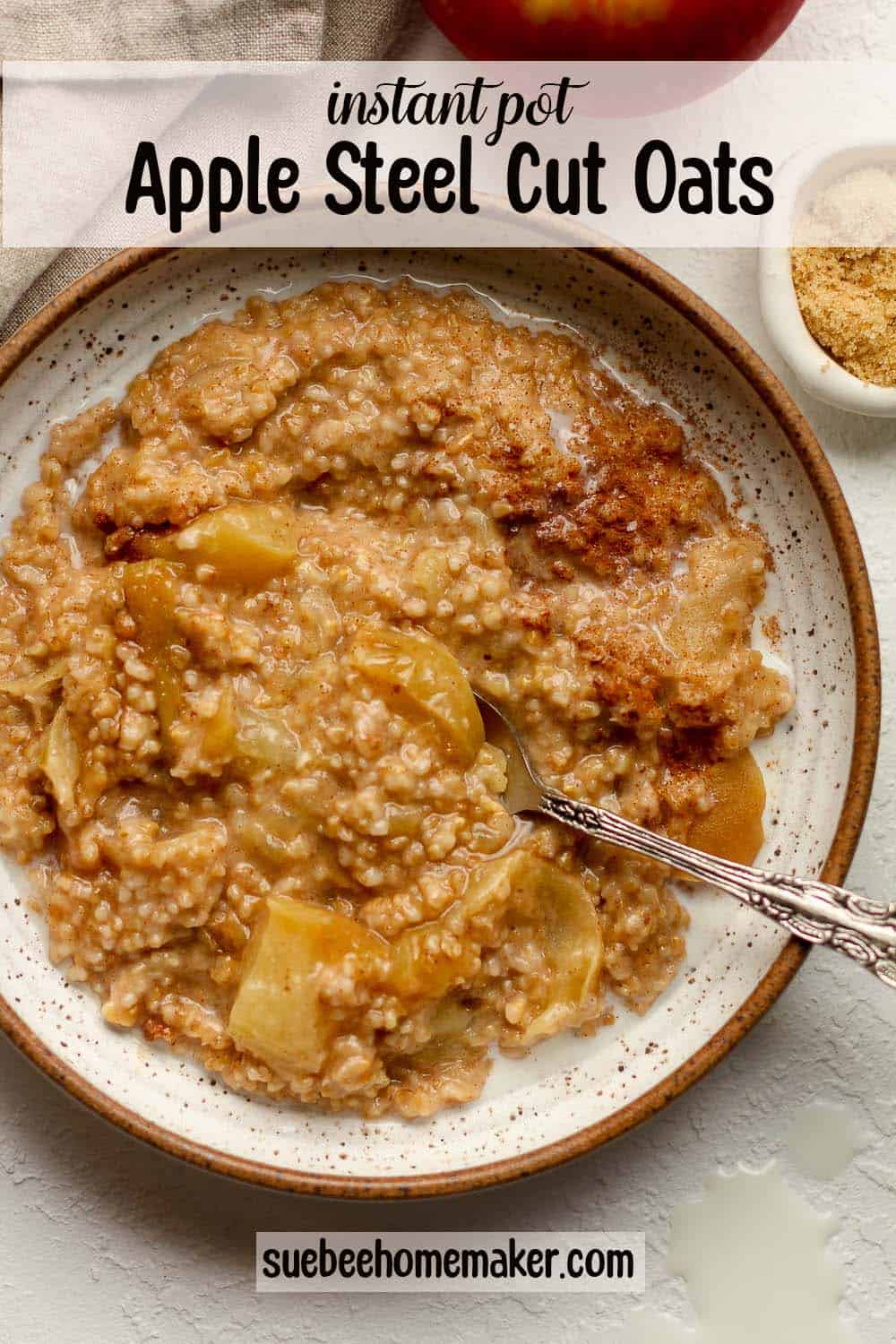 A bowl of instant pot steel cut oats with apples.