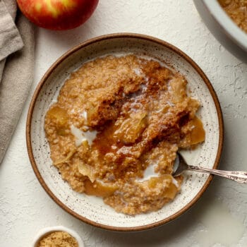 A bowl of steel cut oats with cinnamon.