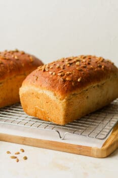 Side view of two loaves of multigrain bread with nuts on top.
