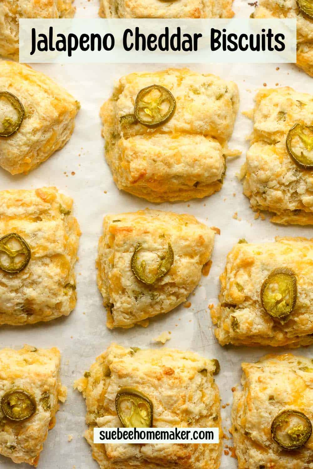 A pan of just baked jalapeño cheddar biscuits.