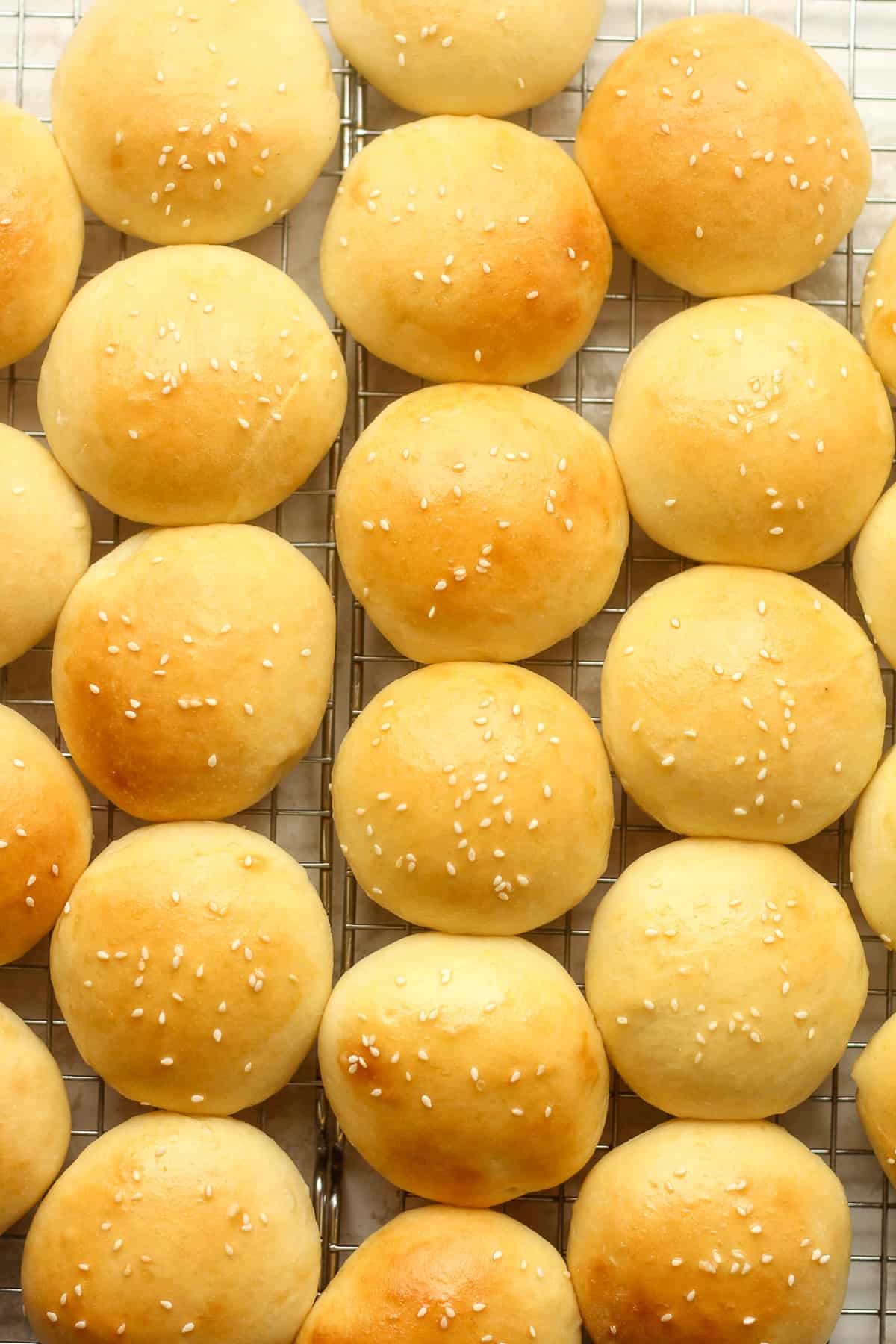 Overhead view of lots of brioche mini buns.