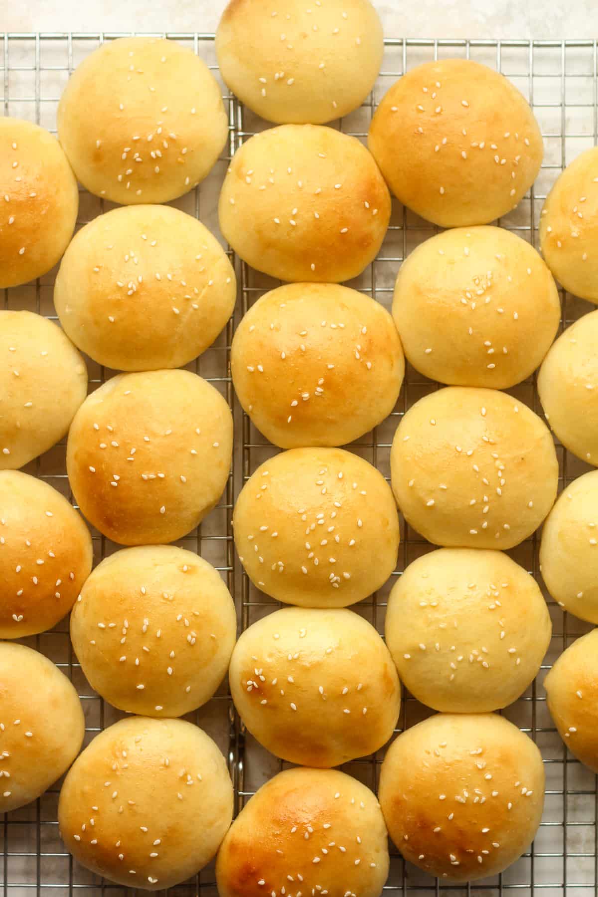 Overhead view of a bunch of brioche slider buns.