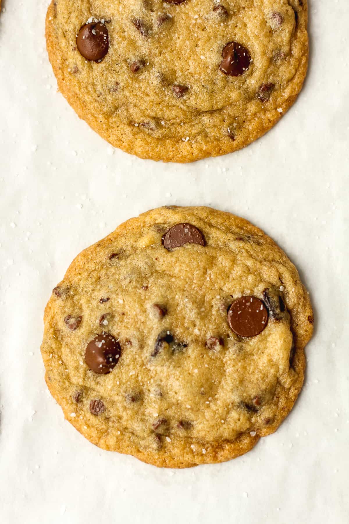 A close-up on two fresh cookies.