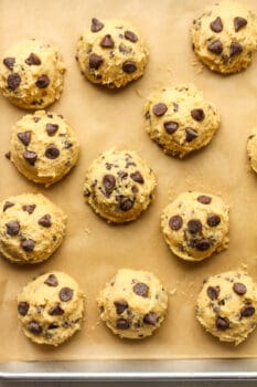 Super Soft Chocolate Chip Cookies - SueBee Homemaker