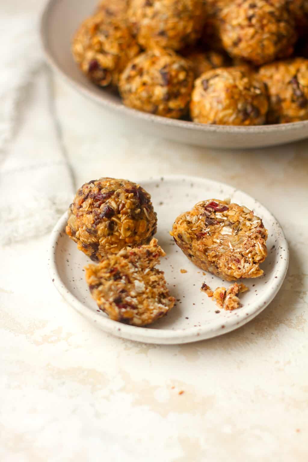 Peanut Butter Power Balls - SueBee Homemaker