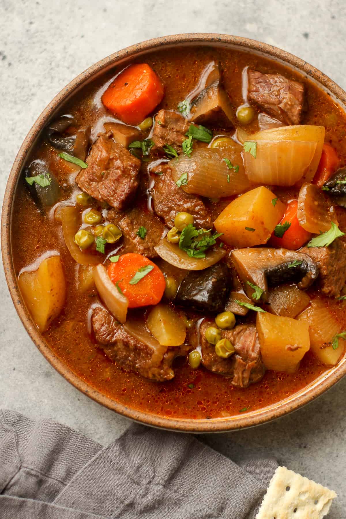 A closeup on a late bowl of beef stew with mushrooms.
