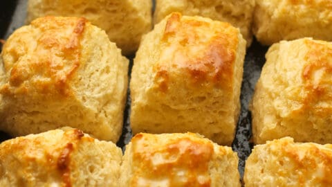 Old Fashioned Buttermilk Biscuits - SueBee Homemaker