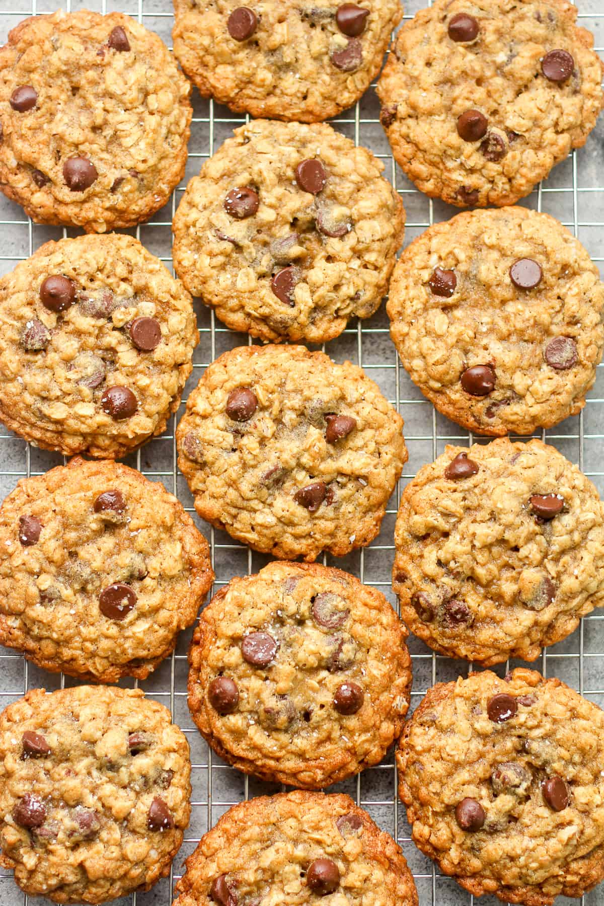 A rack of chocolate chip oatmeal cookies.