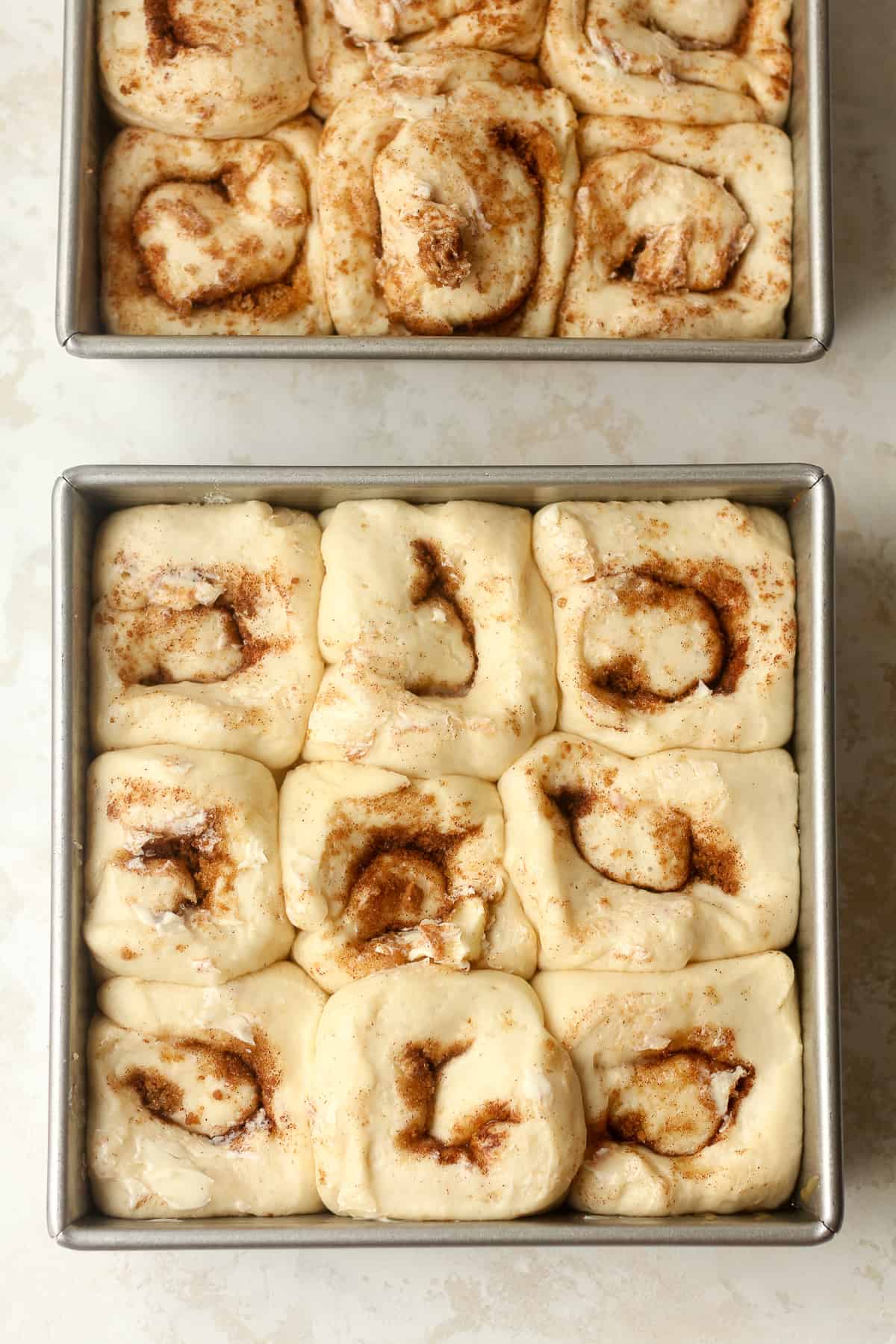 Overhead view of the pans of rolls after rising.