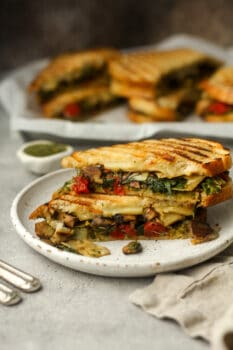 Side view of a stacked California panini.