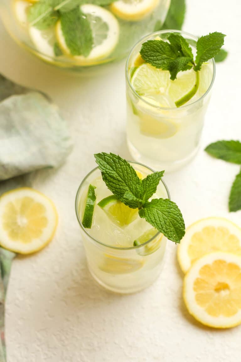 Refreshing Lemon Mojitos - SueBee Homemaker