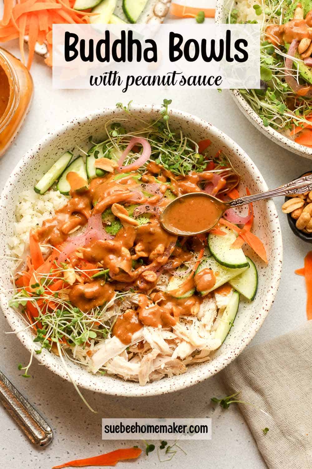 A rice bowl with chicken, veggies and peanut sauce.