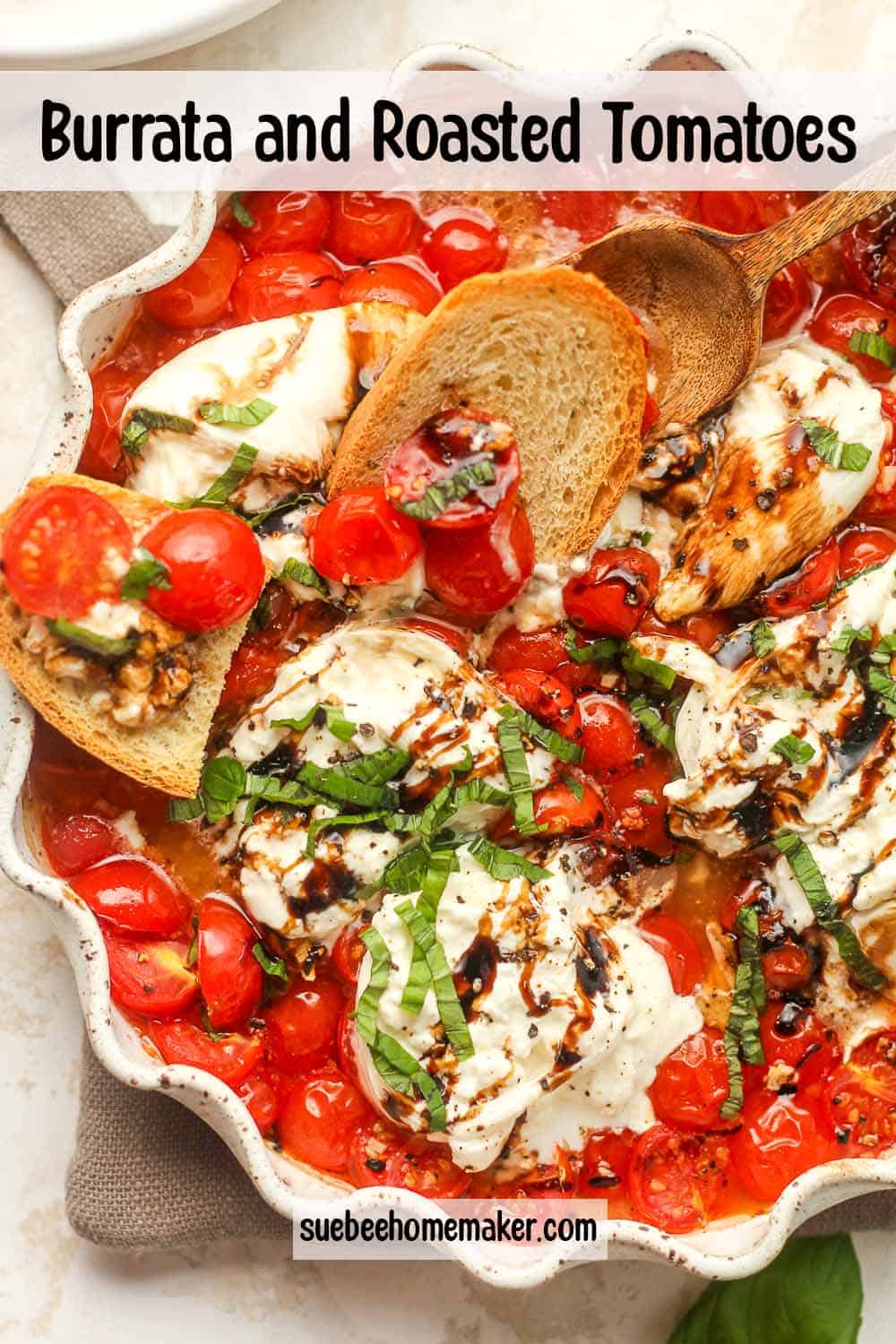 A dish of burrata and roasted tomatoes with toasted bread.
