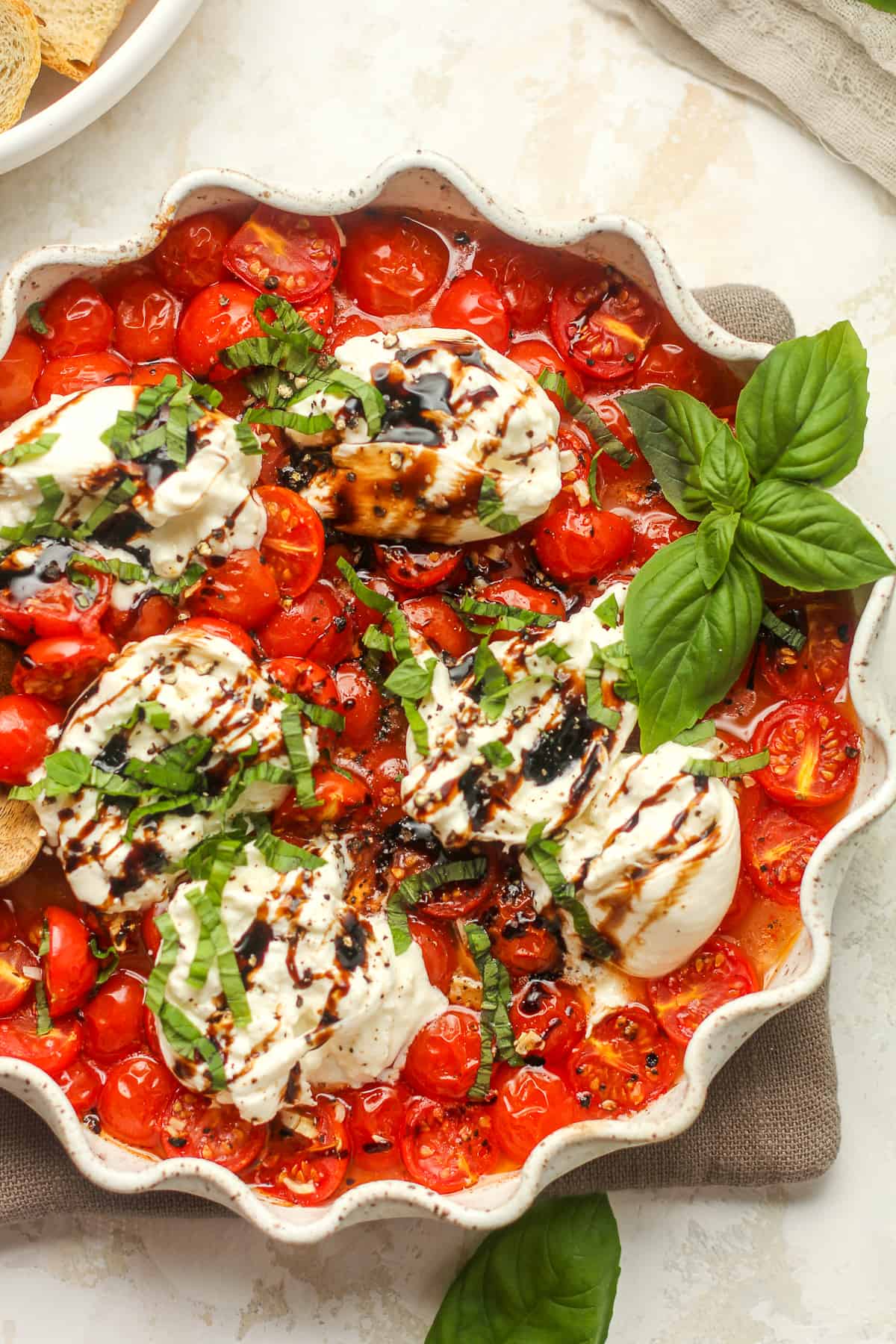 A dish of roasted tomatoes with warm burrata cheese and fresh basil.