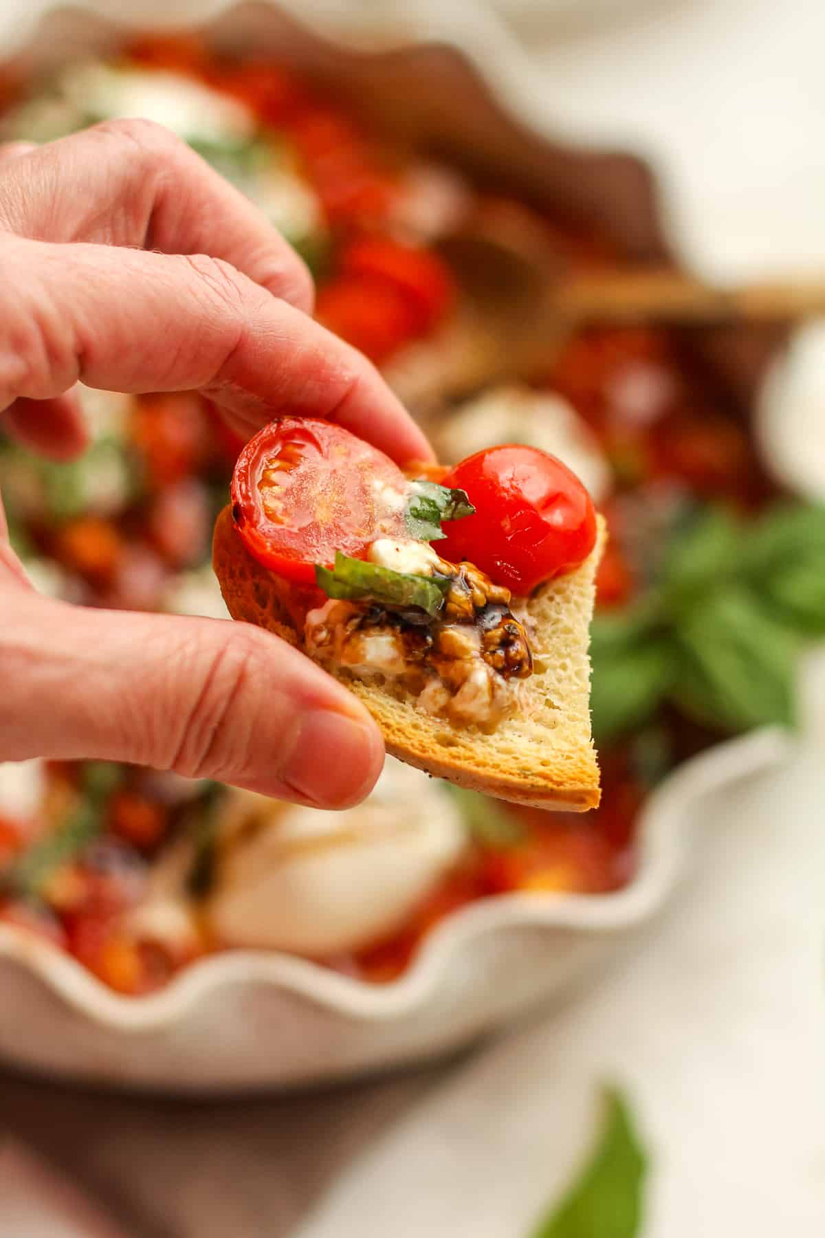 A hand holding a piece of toasted bread with roasted tomatoes and burrata.